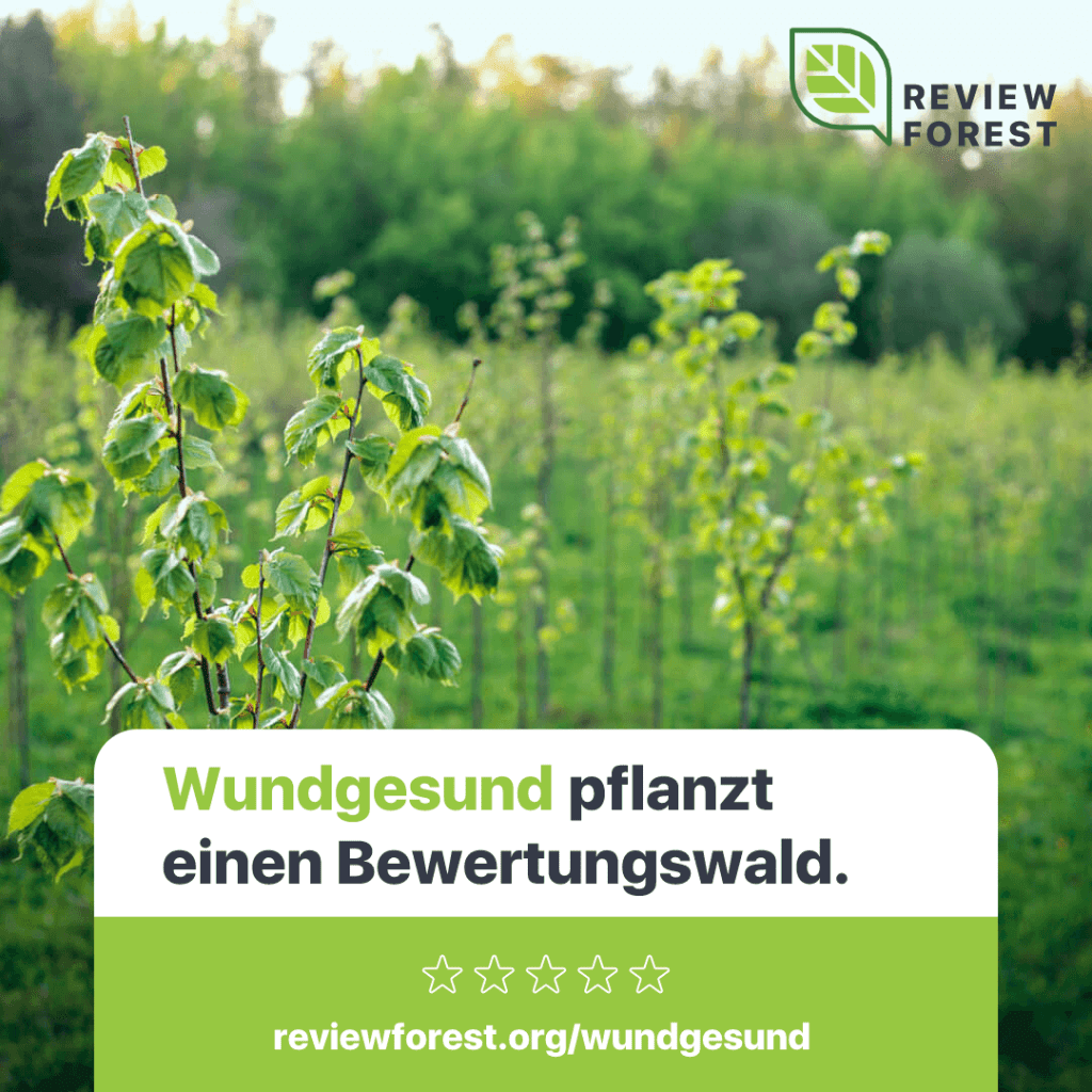 Nachhaltig Bäume pflanzen!